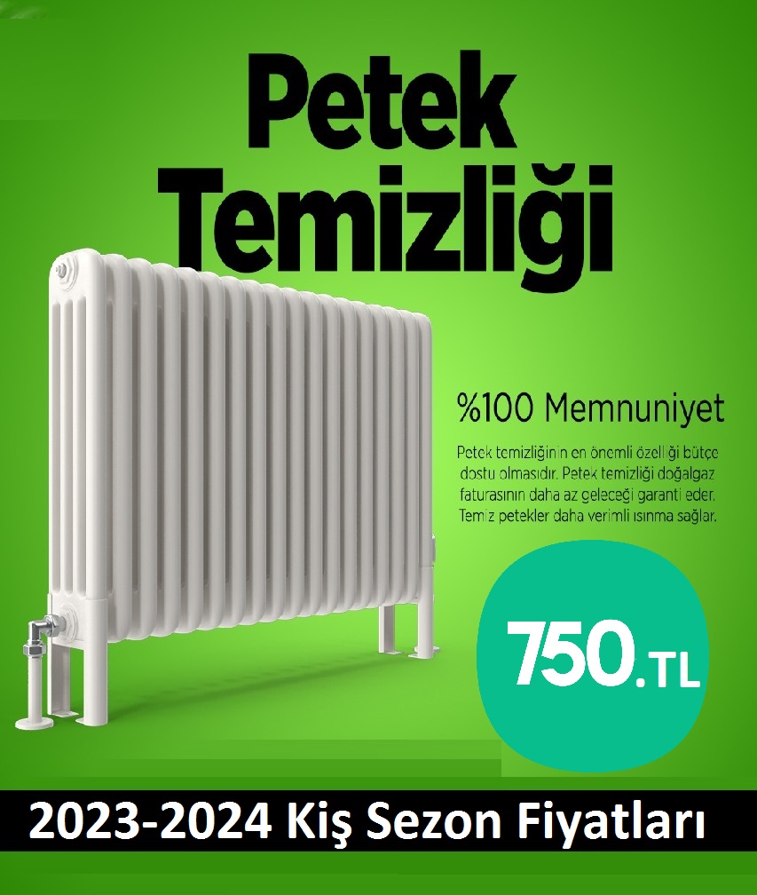 Şile Petek Temizligi